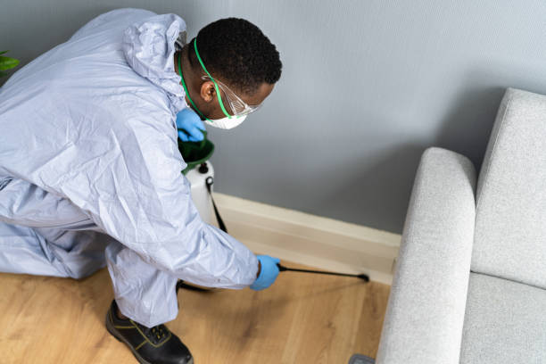 Best Real Estate Pest Inspections  in Brighton, AL